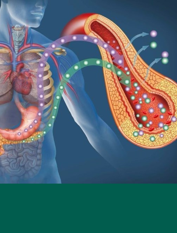 Diabetes Mellitus